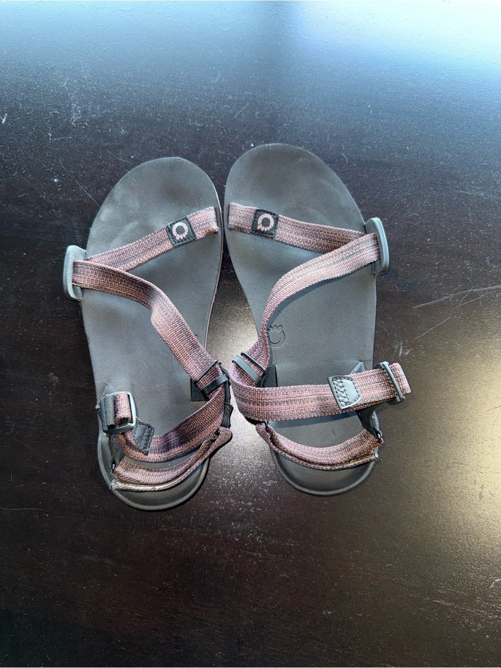 Men's Outdoor Strapped Sandals in Brown